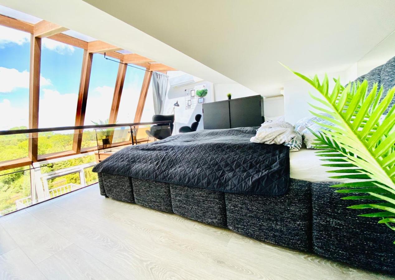 Sea & Sunset View Apartment In Palanga Esterno foto